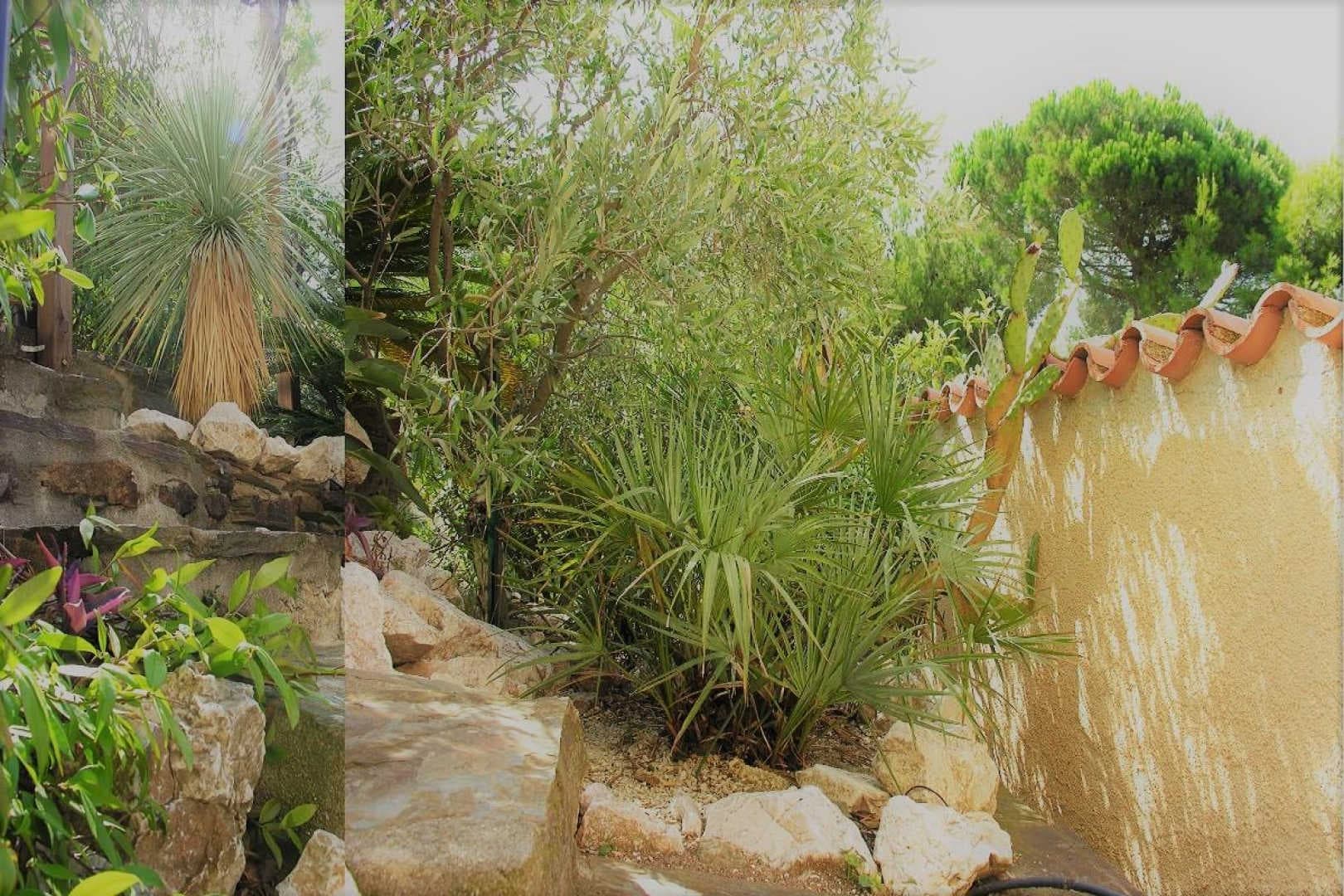 Casa mallorca_13