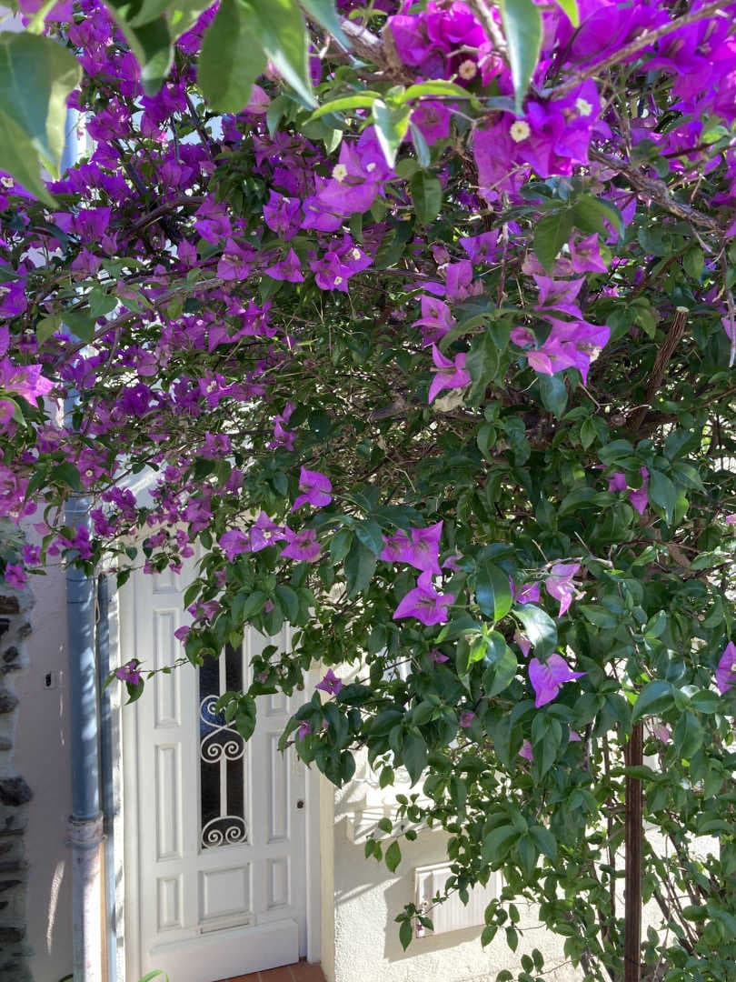 La Terrasse_15