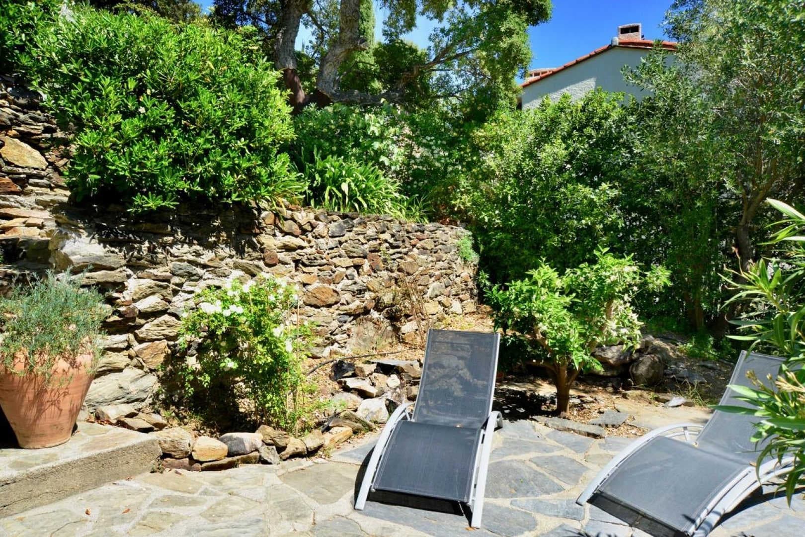 Les Mimosas de Collioure_24