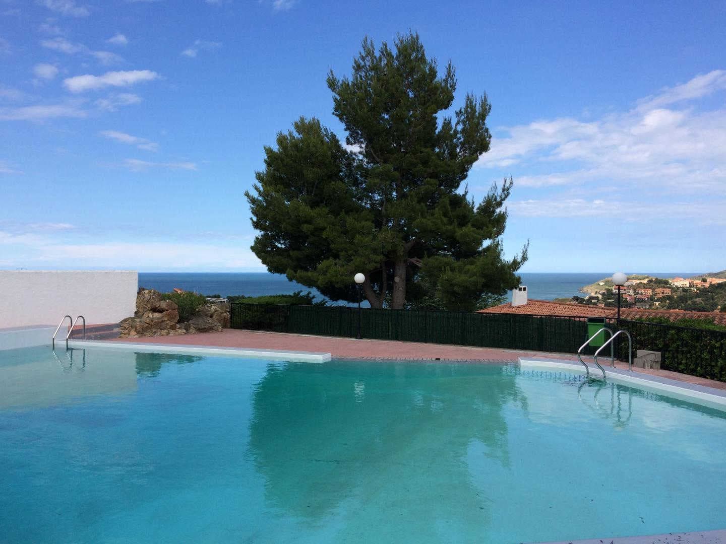 Les Mimosas de Collioure_27