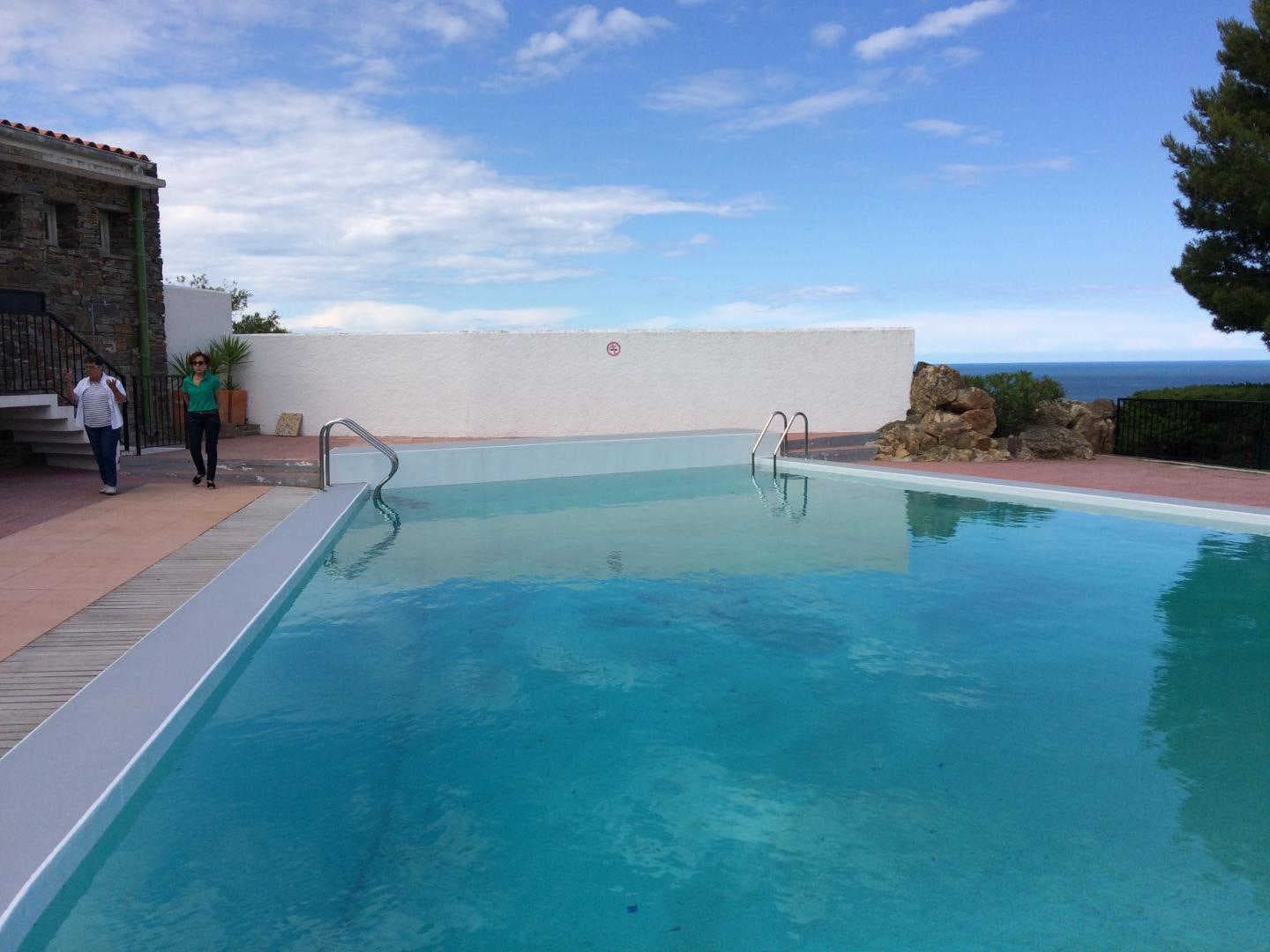 Les Mimosas de Collioure_4