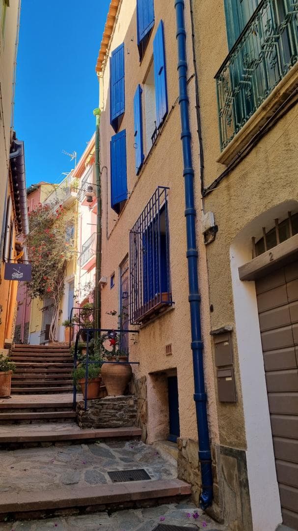 Les toits de Collioure_20