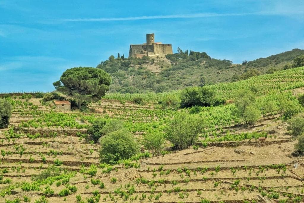 Gîte Mer et Vignes_4
