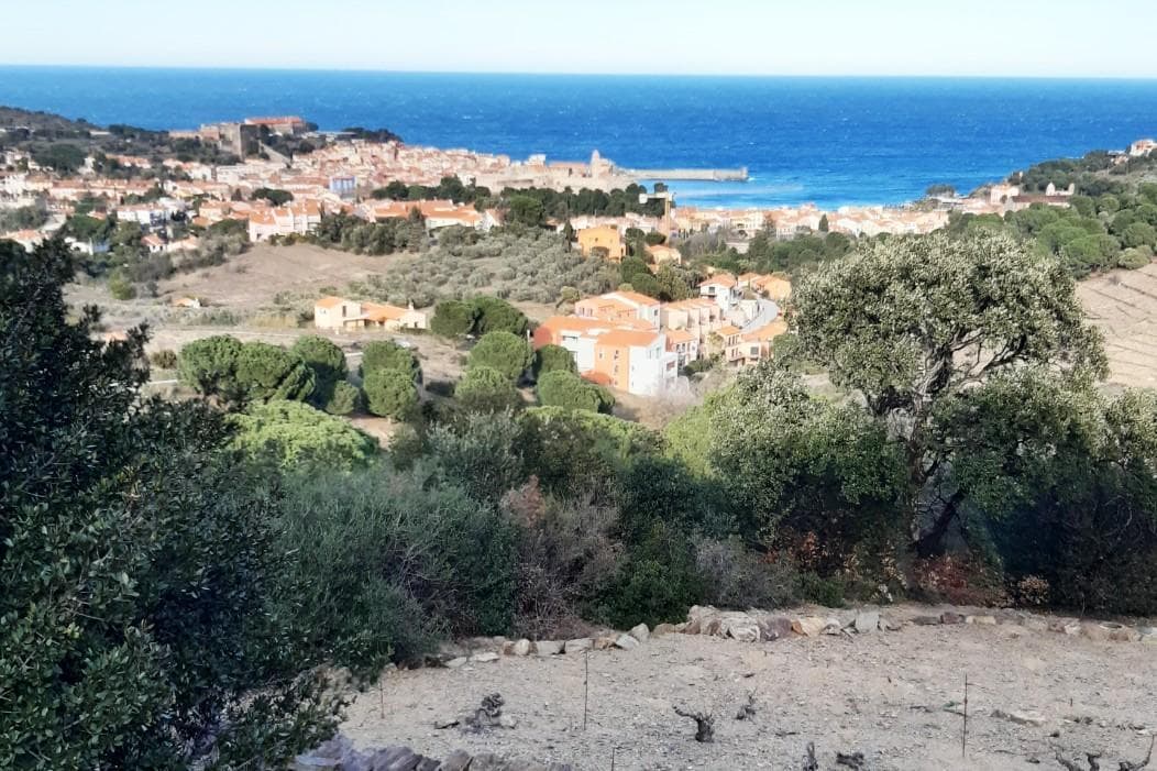 Gîte Mer et Vignes_29
