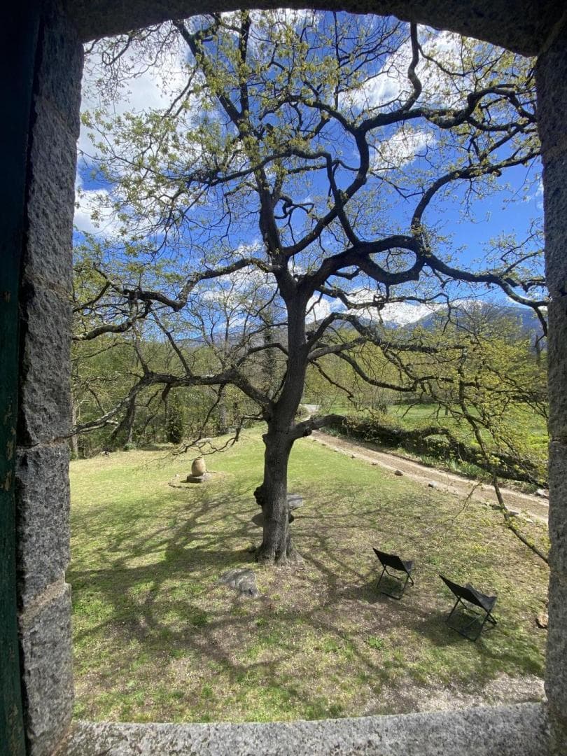 La pommeraie du Canigou_5