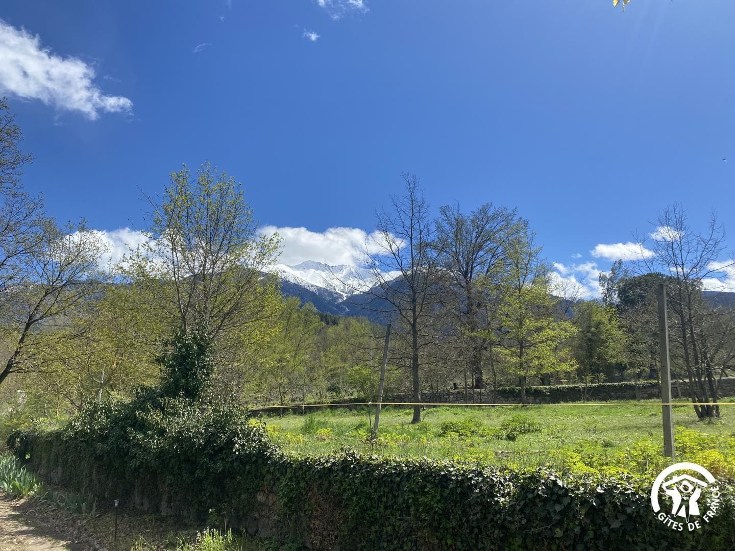 La pommeraie du Canigou_30