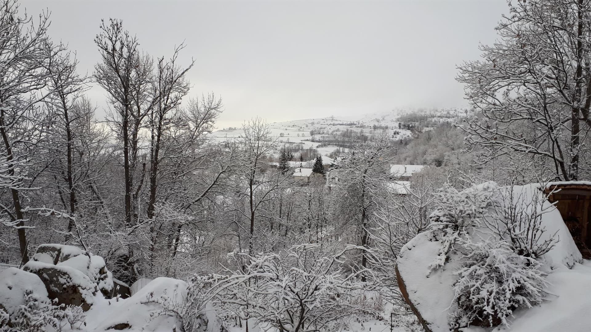 Solana_31