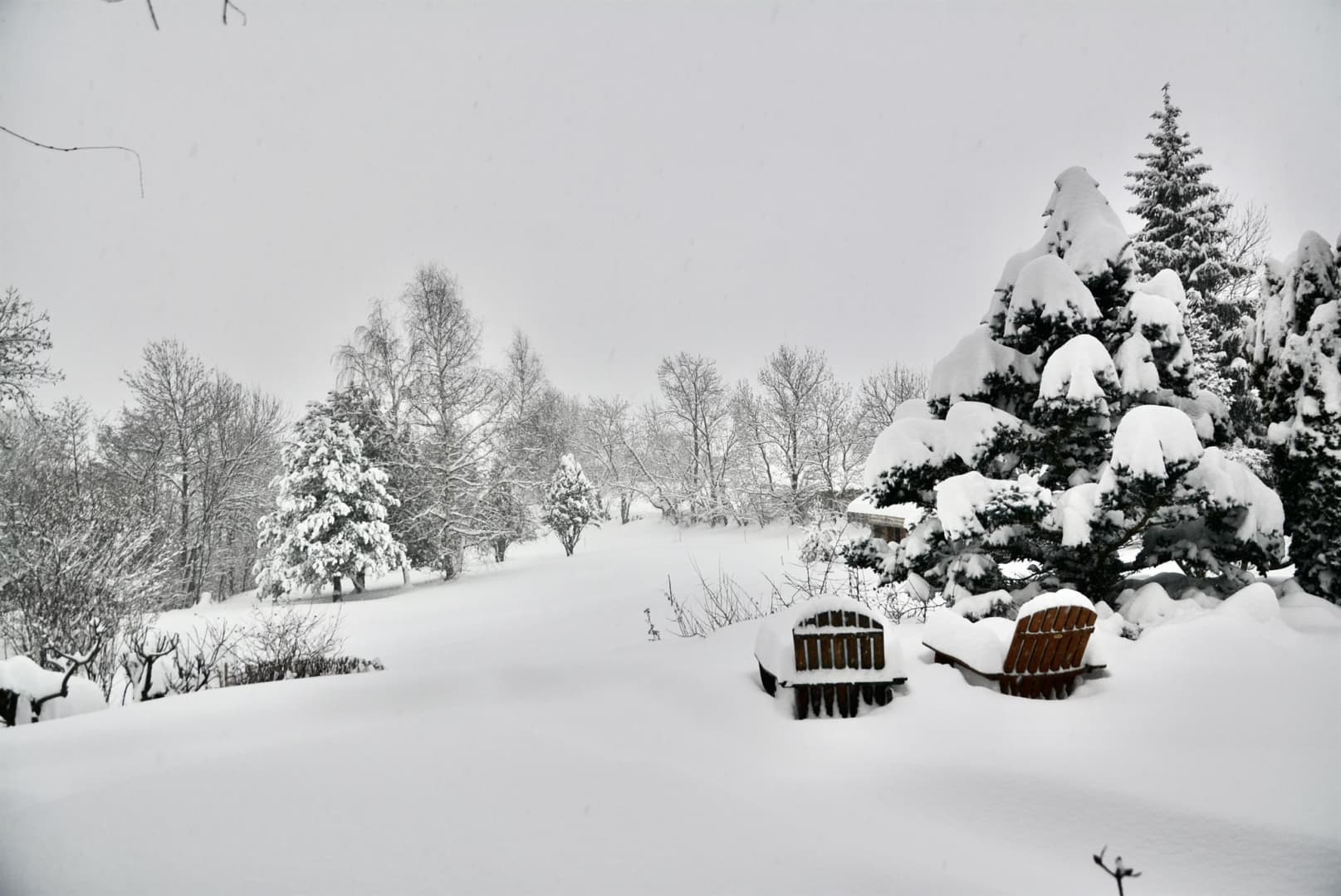 La cabane du trappeur_46