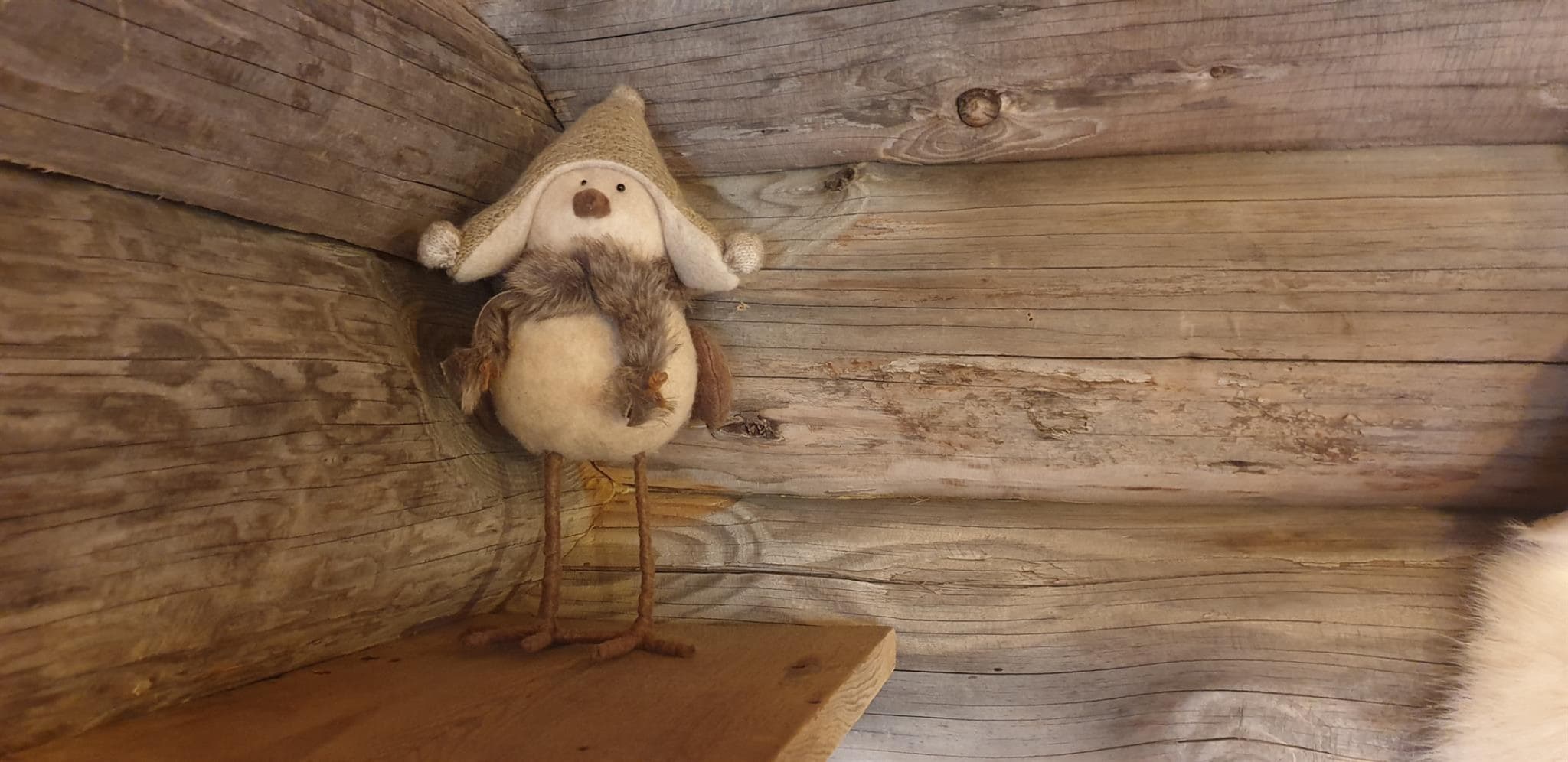 La cabane du trappeur_36