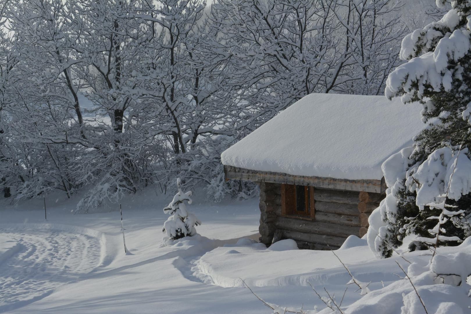 La cabane du trappeur_27