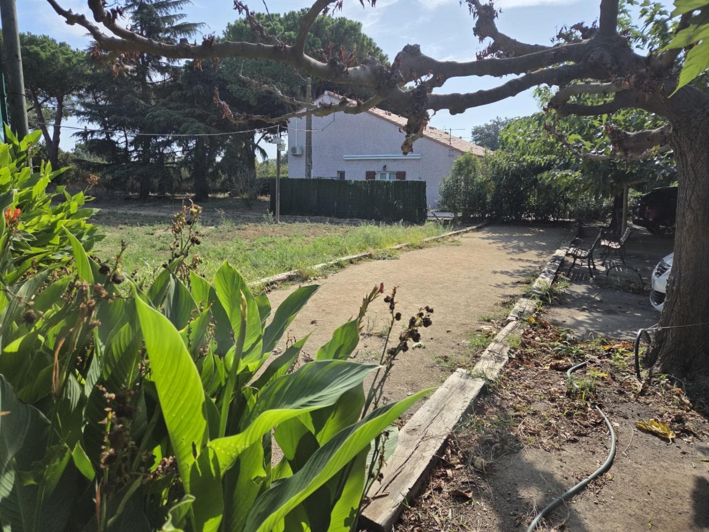 Mas Couloumine- Madeloc_19
