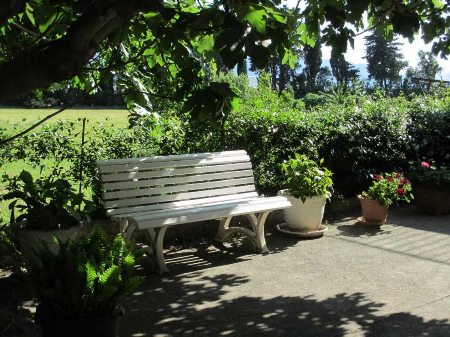 Jardin magnac_21