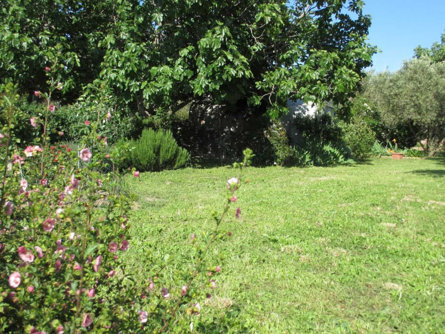 Jardin magnac_18