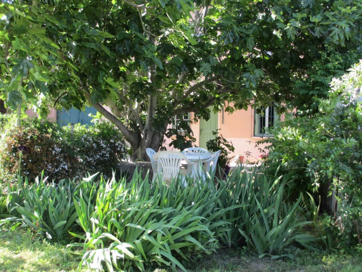 Jardin magnac_19