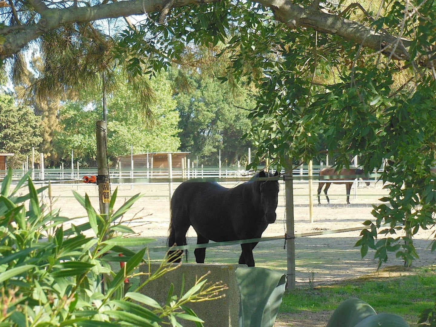 Mas de la roubine_22