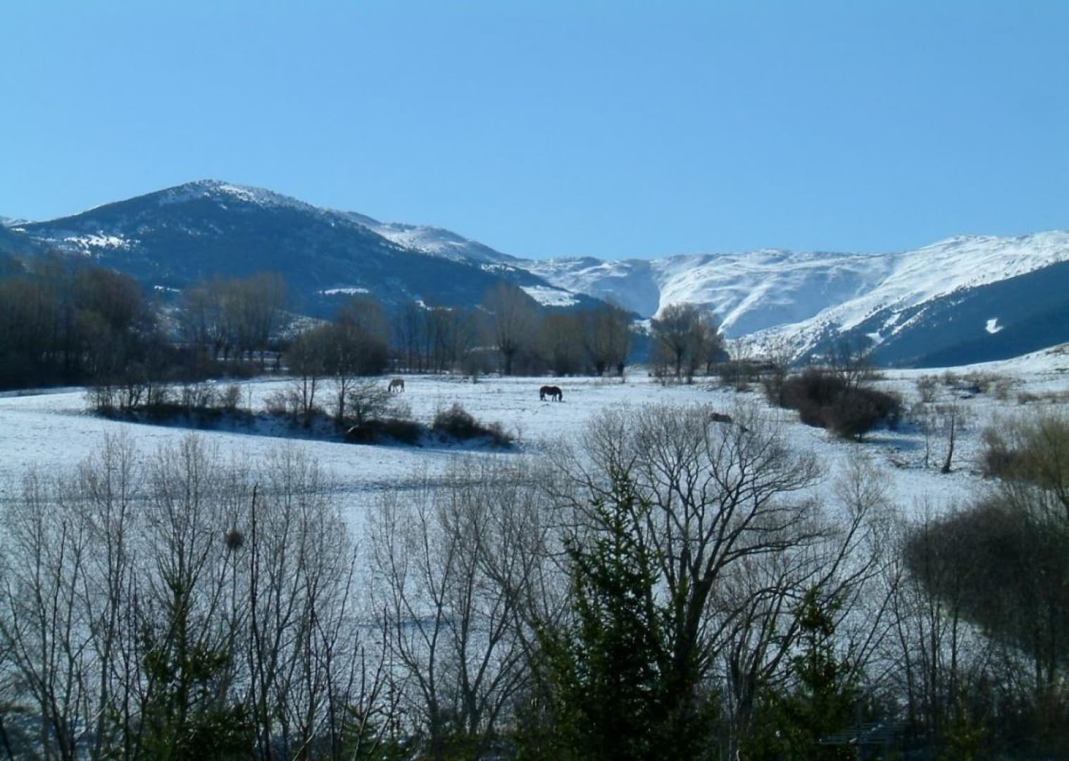 Al Cortal_14