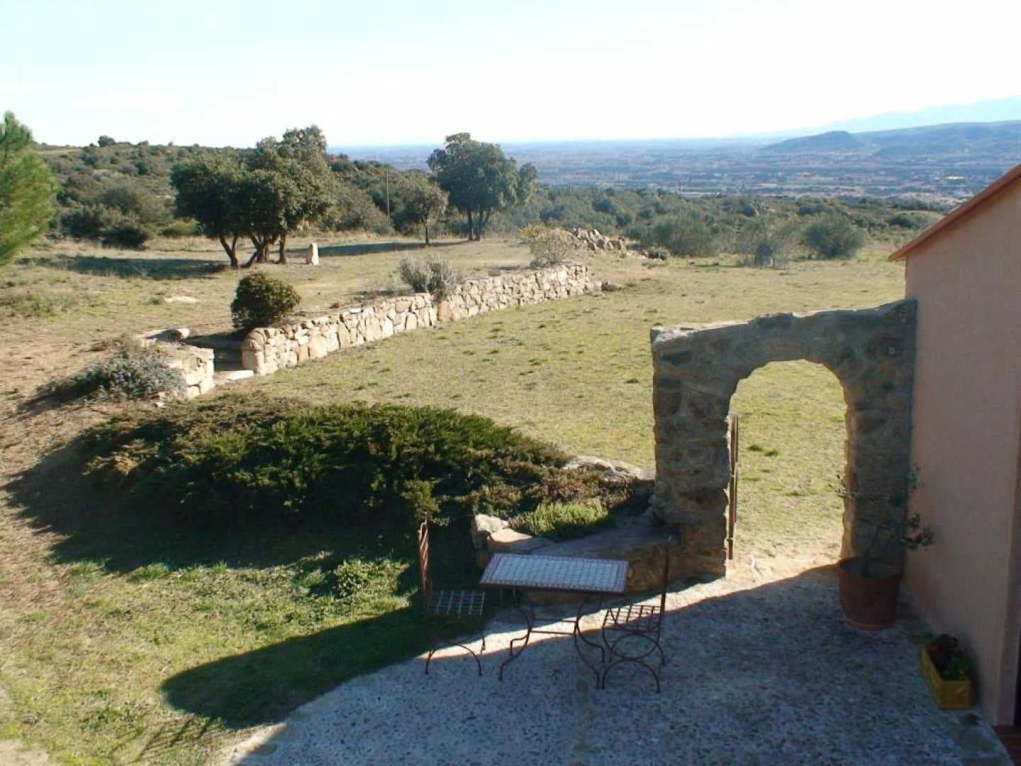 Gîte et oliviers_12