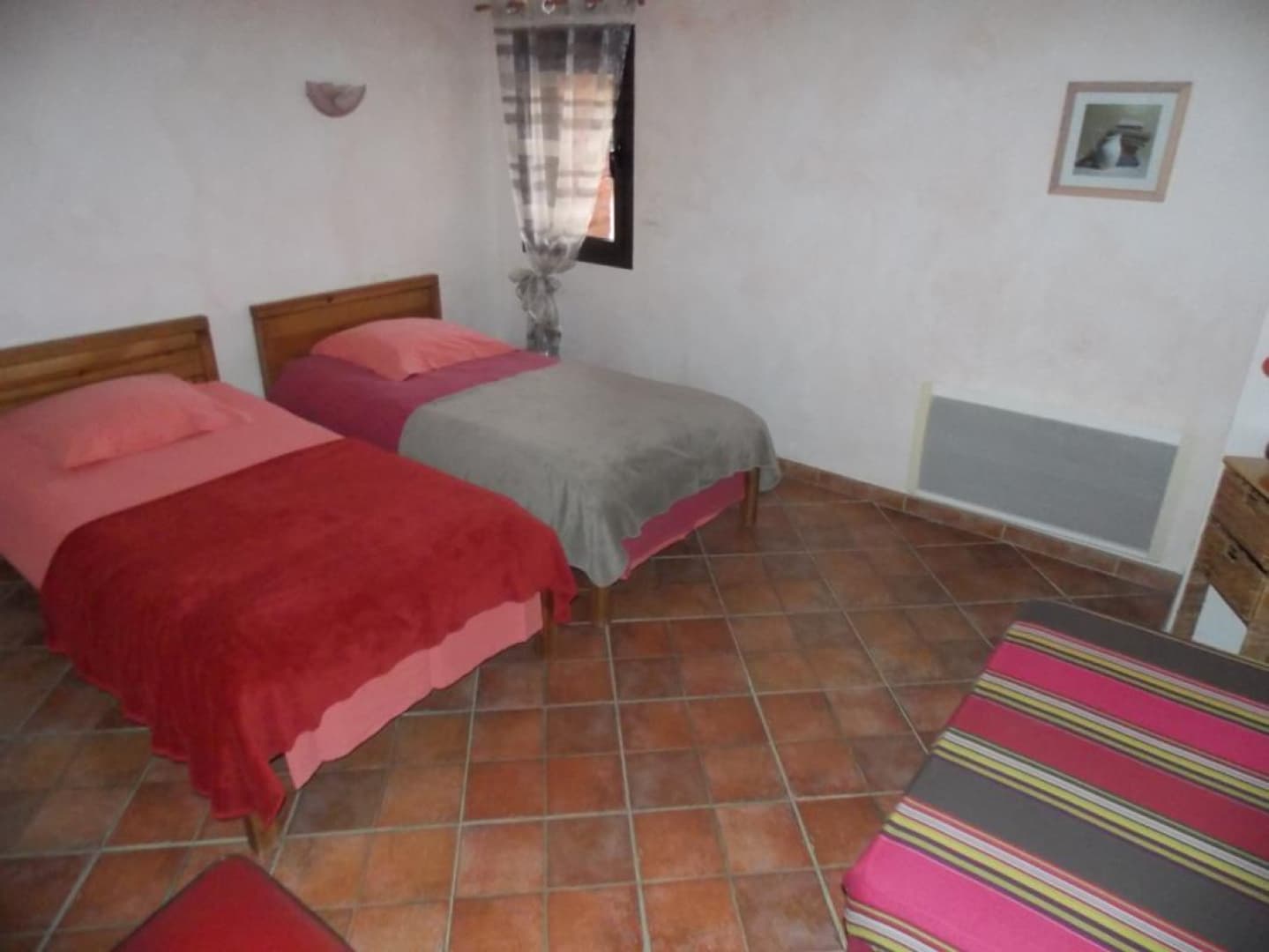 Gîte et oliviers_17