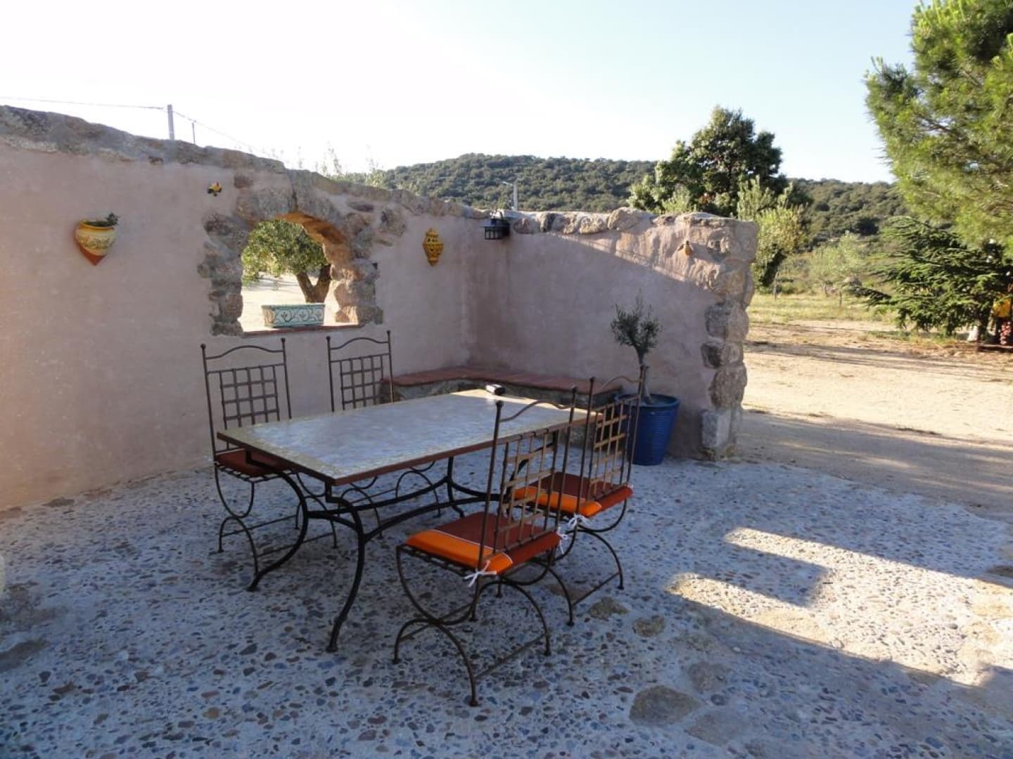Gîte et oliviers_11