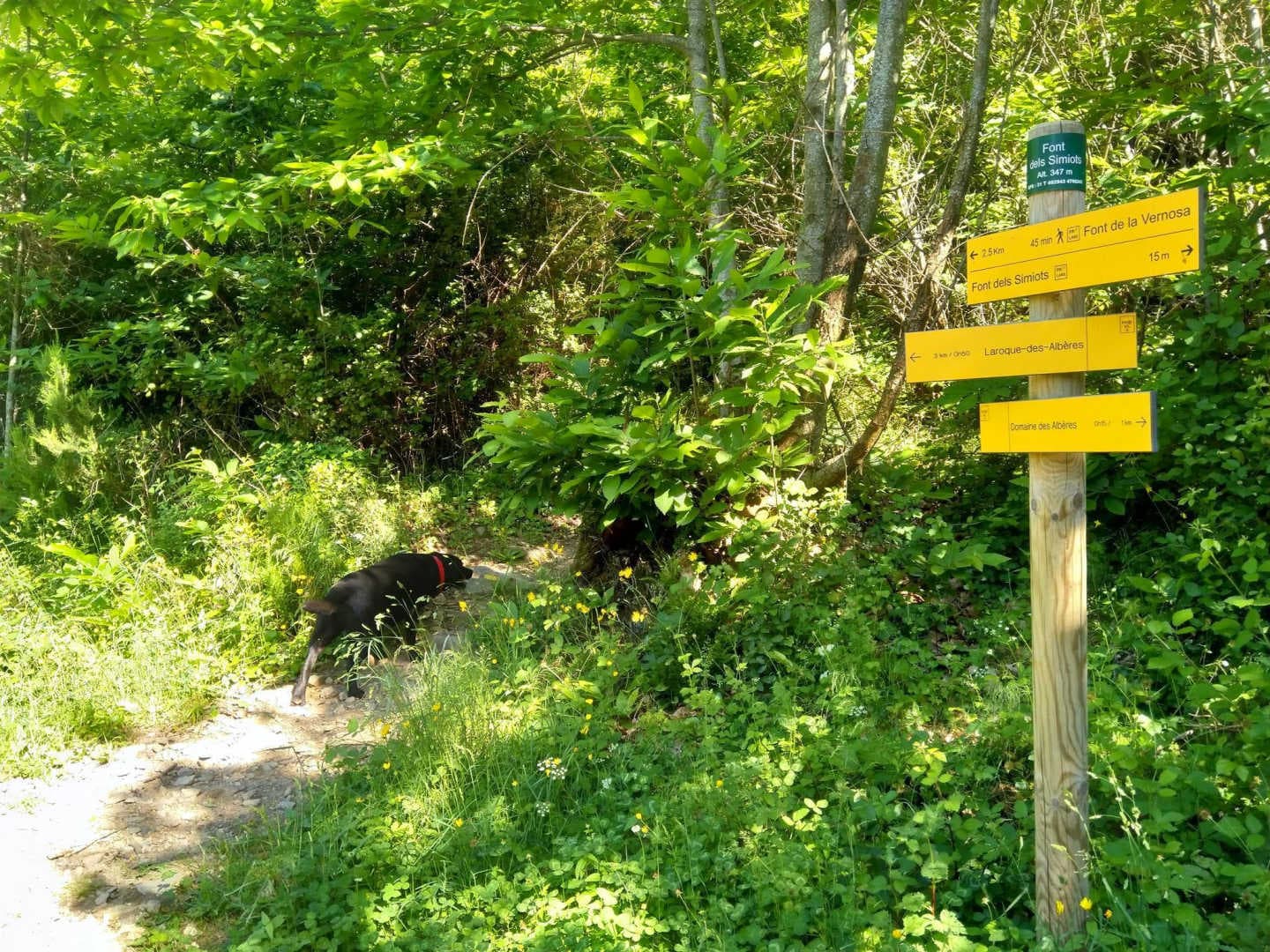 Les micoucouliers_29