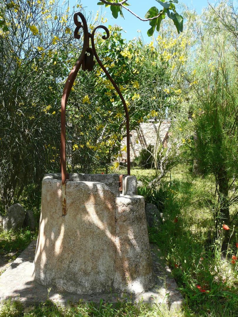 Els oliveres_14