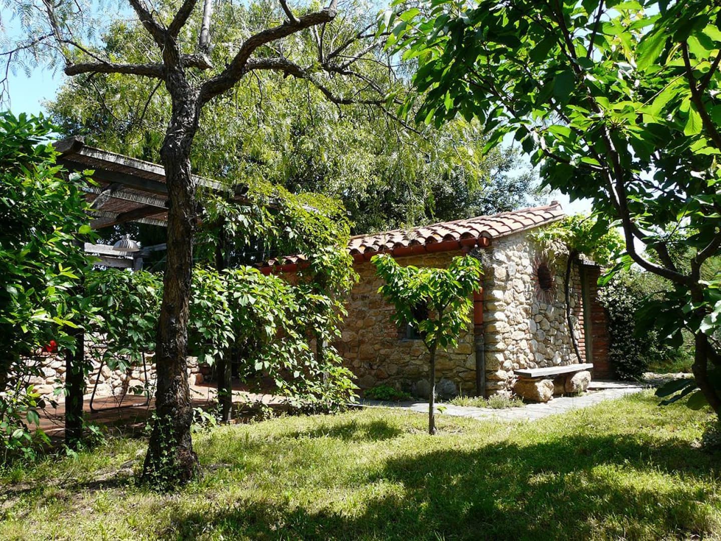 Els oliveres_13