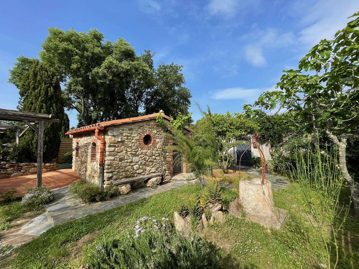 Els oliveres_24