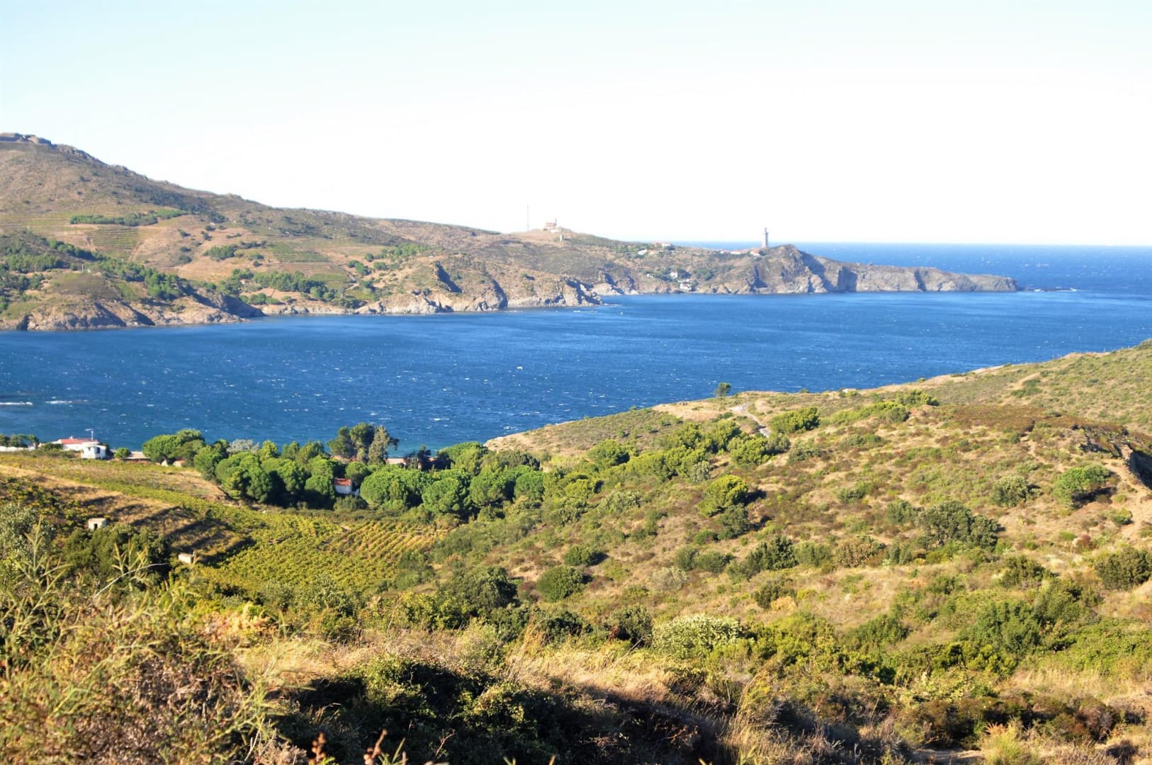 Els cirerers_40