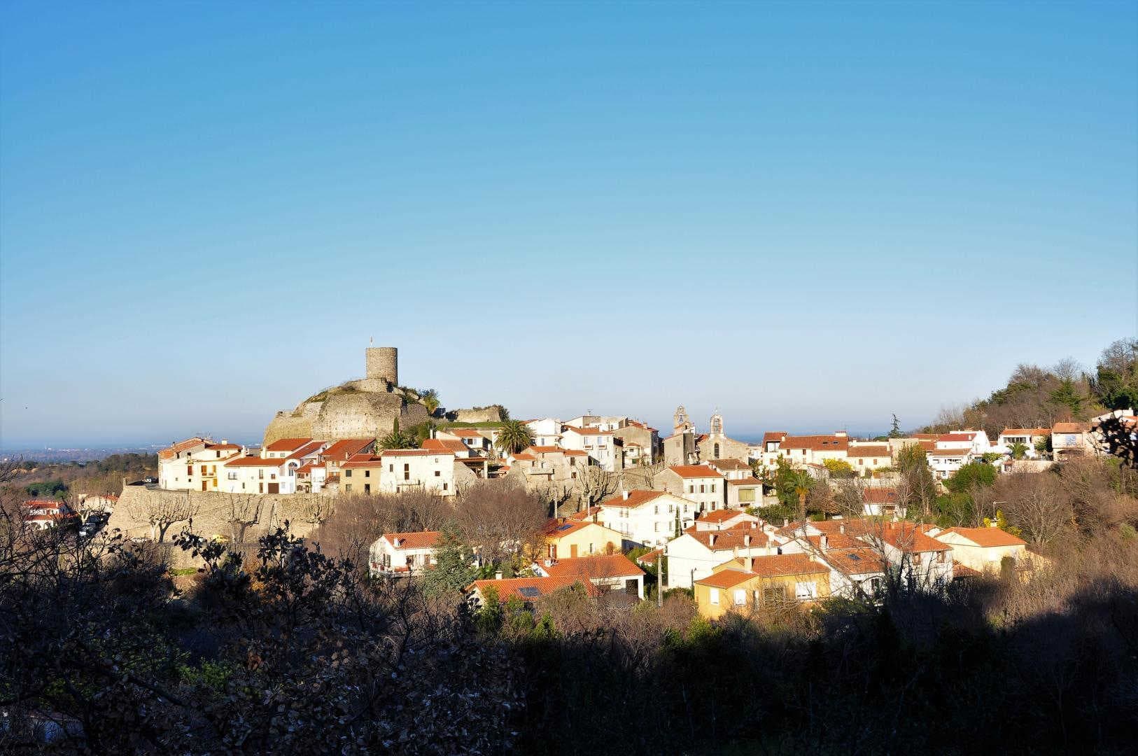 Els cirerers_31