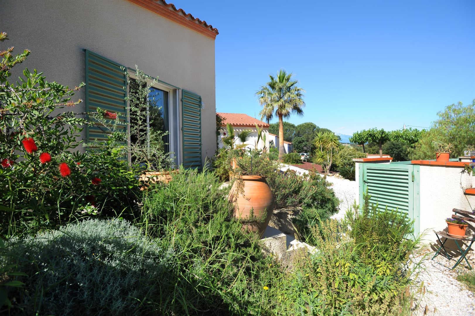 L'oliu_15
