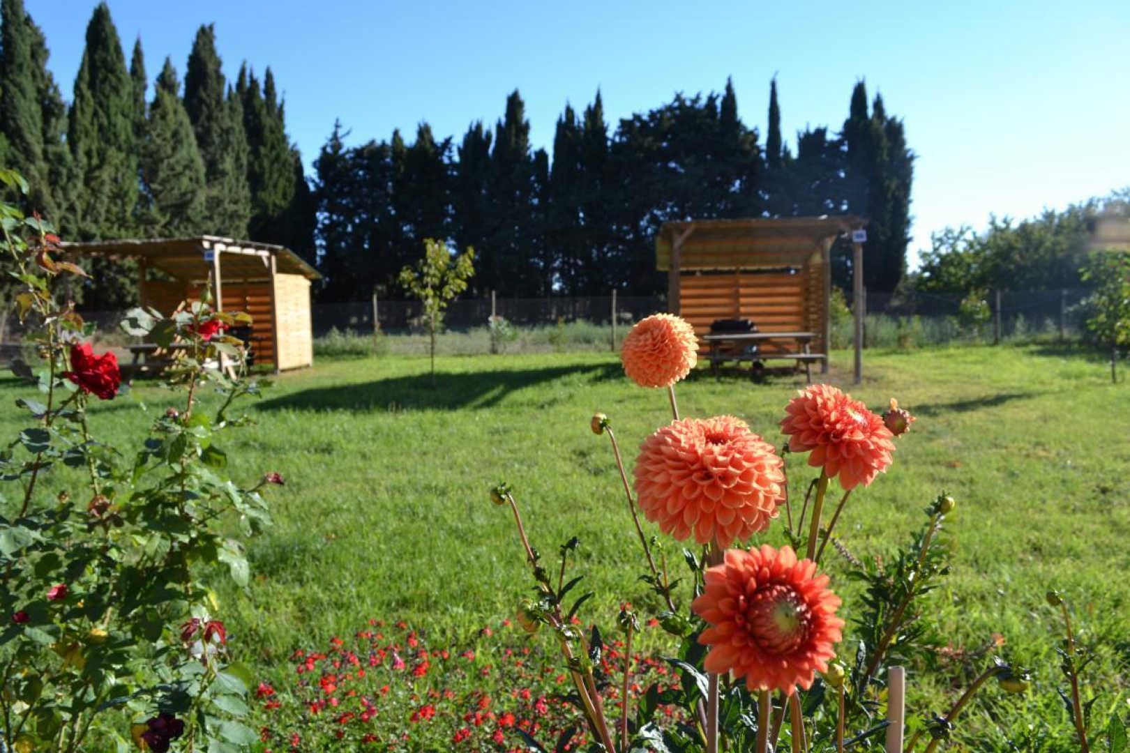 BANYULS_15