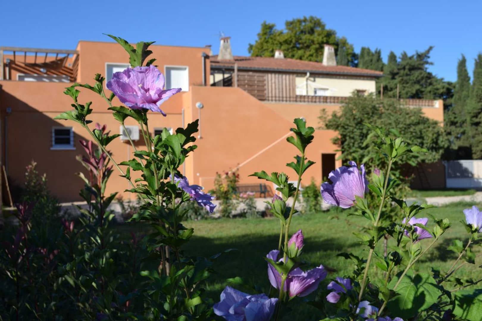 BANYULS_2