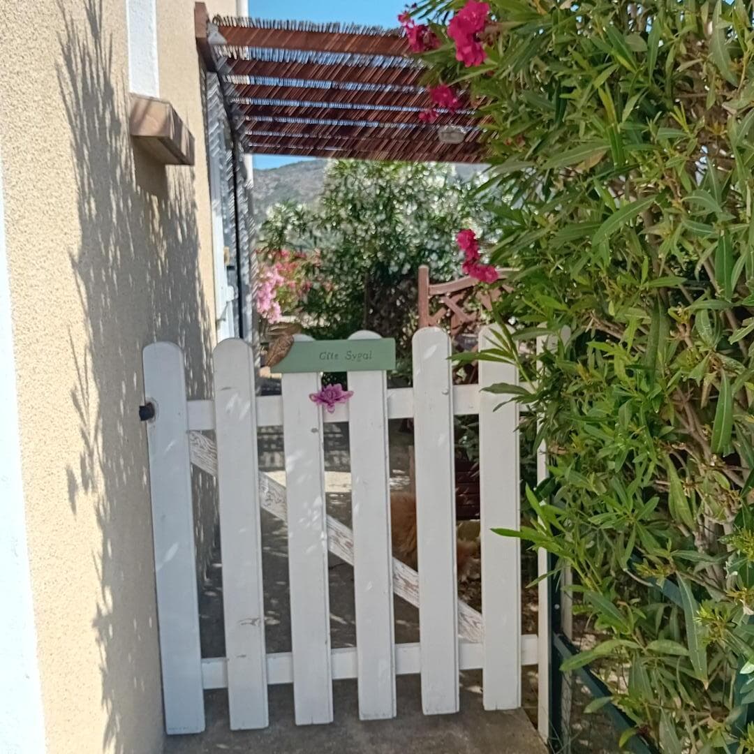 Sygal_29