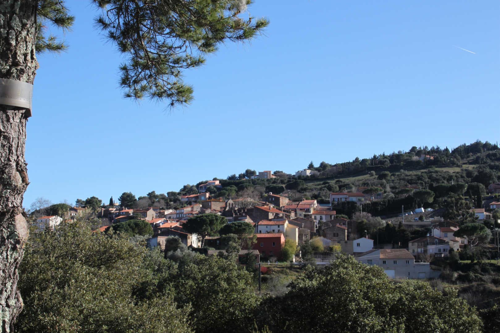 La casa de la Font_43
