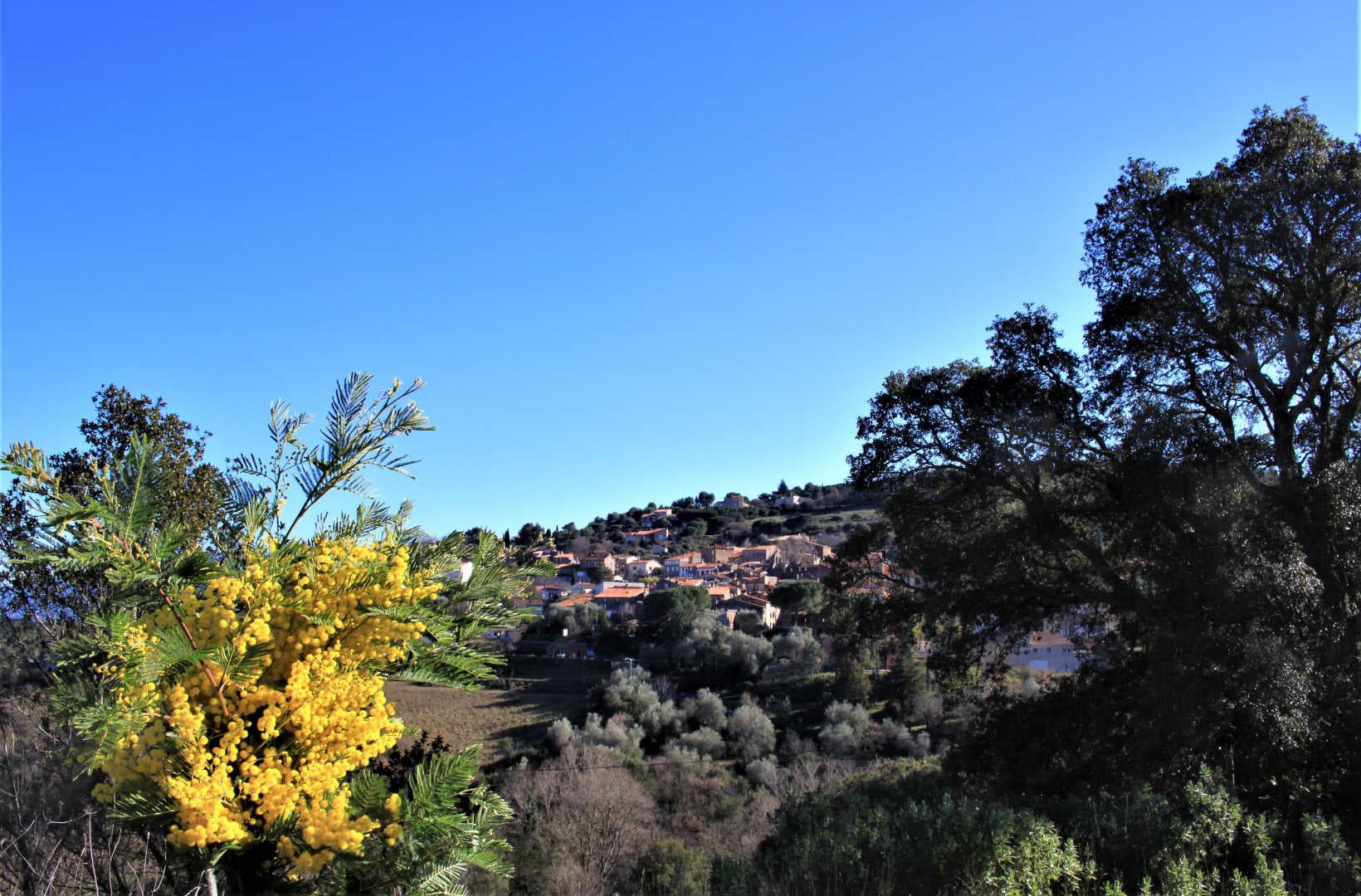 La casa de la Font_44