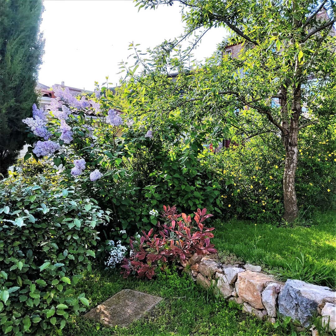 La casa de la Font_9