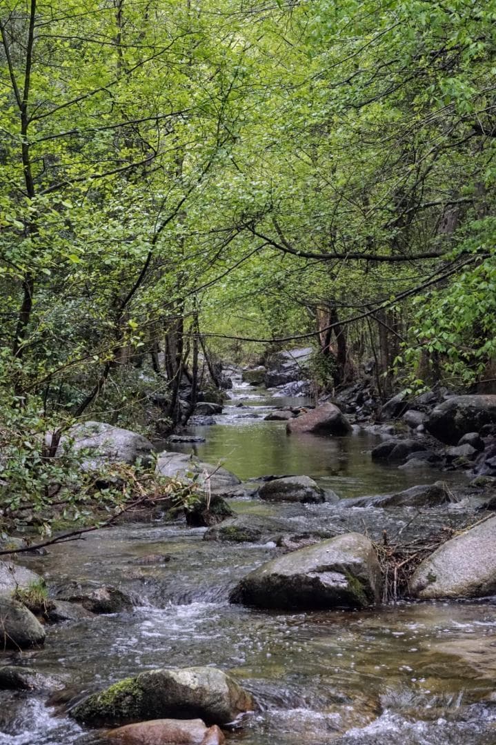 Panorama du Vallespir_53