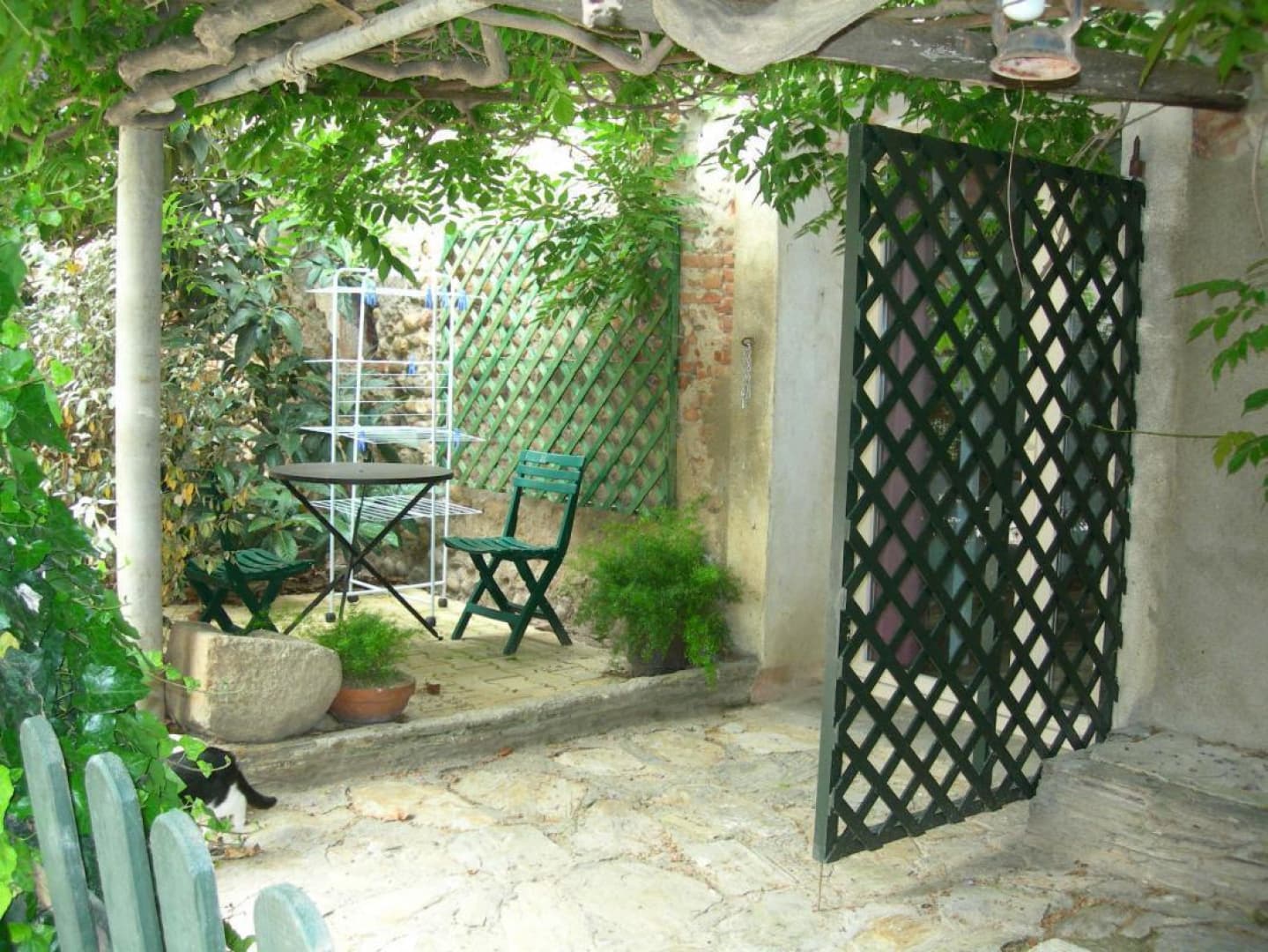 La glycine_11