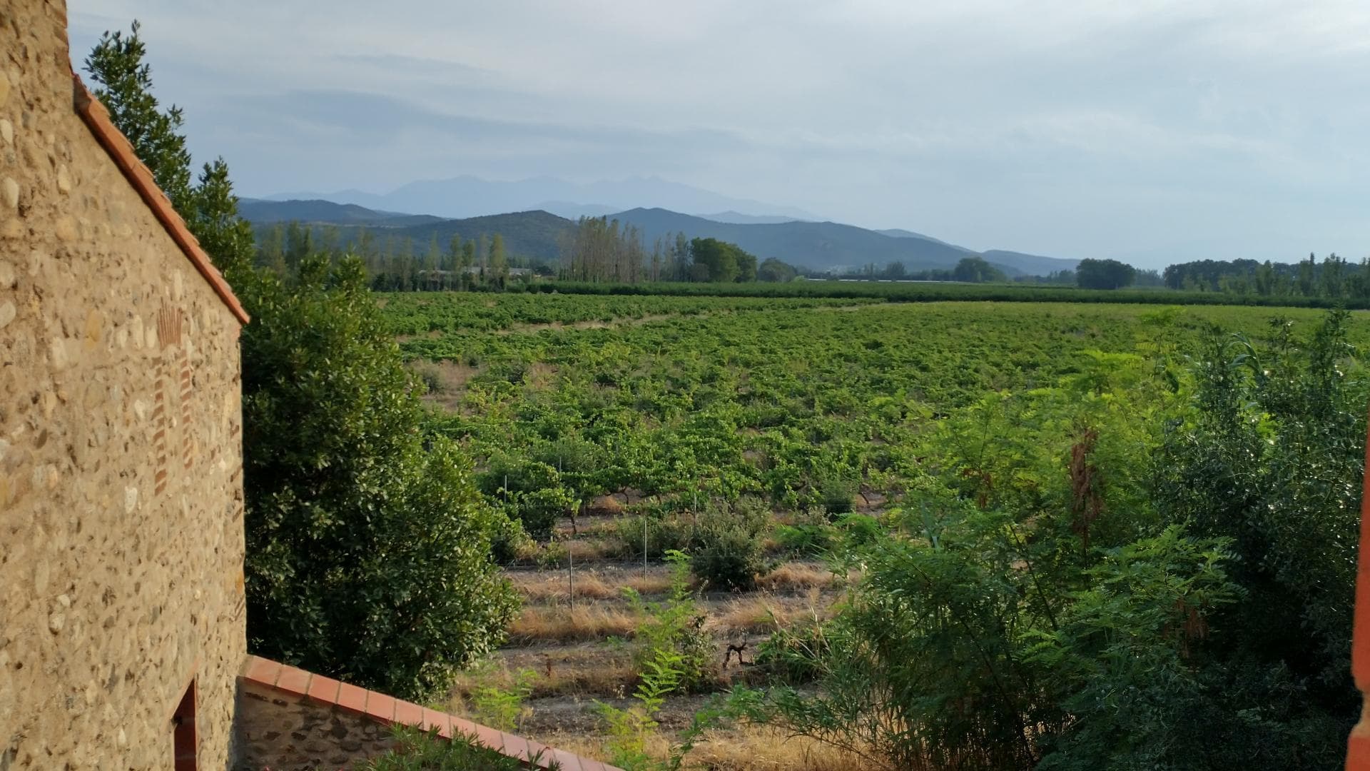 Le Moulin d'En Burgat_24