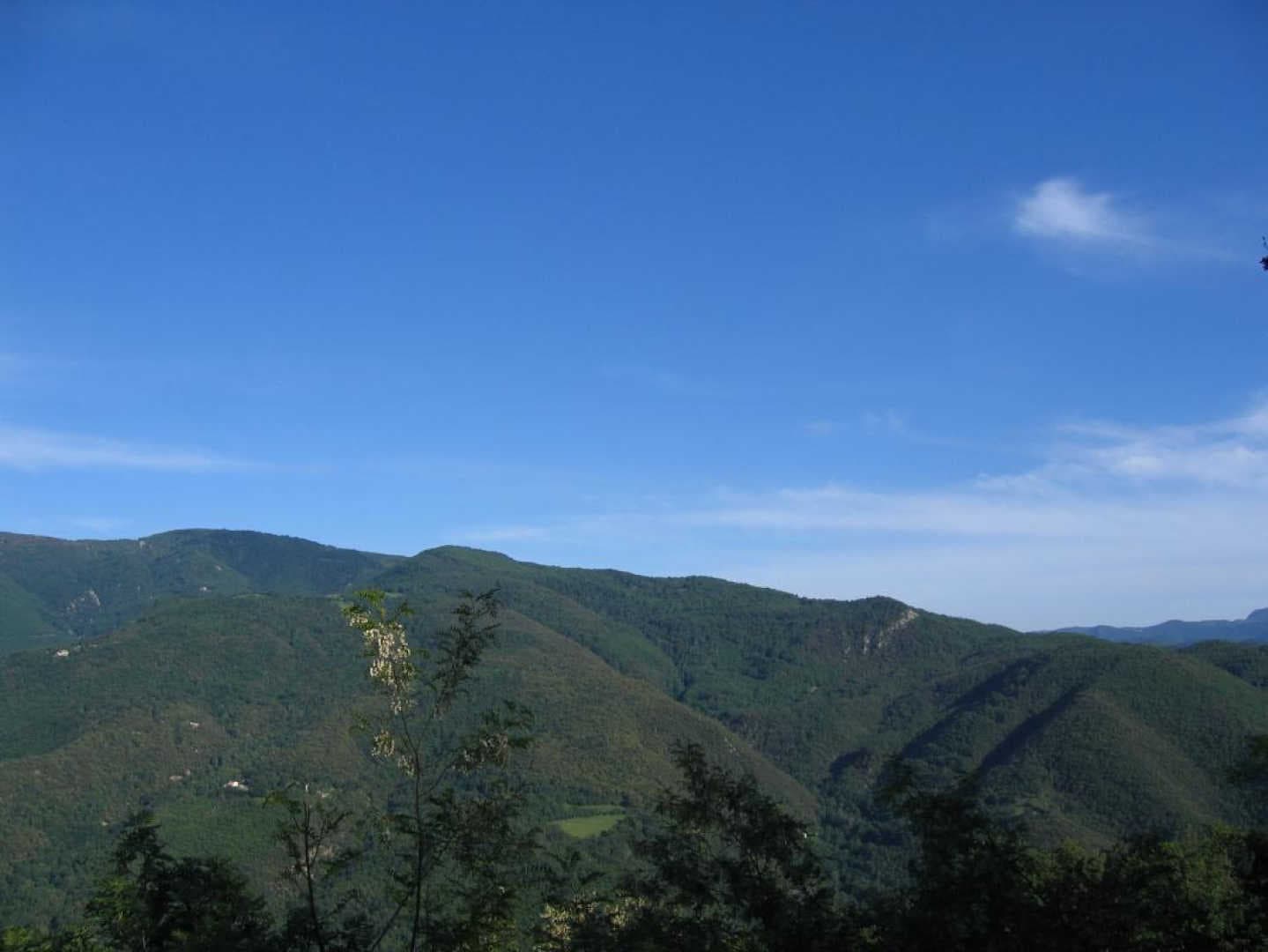 Bella vista_10