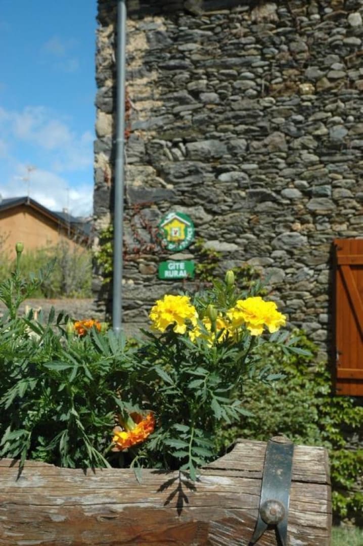 L'hirondelle_21