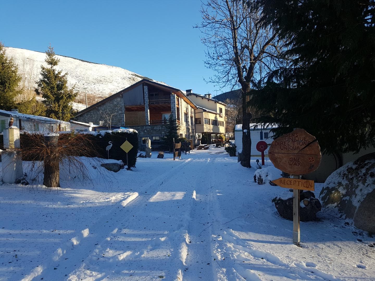 Les Ecureuils_18