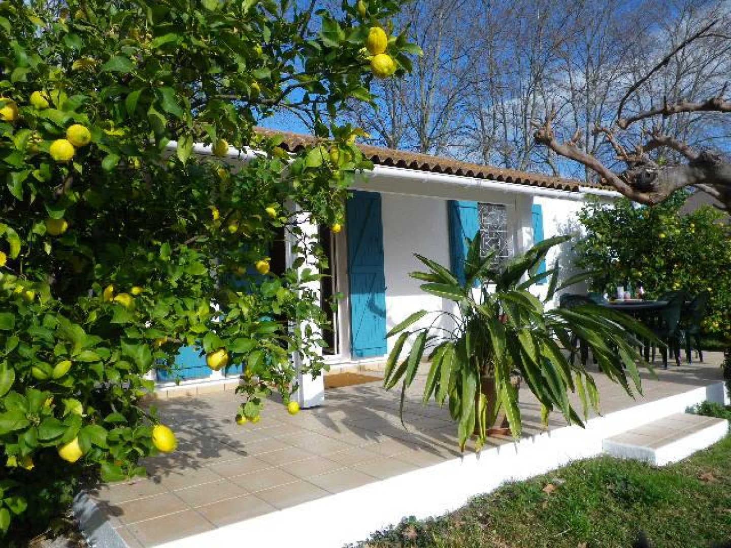 La maison en couleurs_2