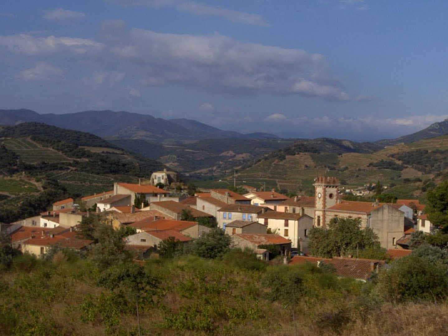Carignan_14