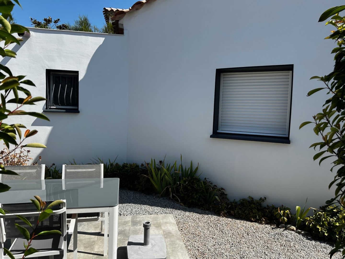 les Cycas_14