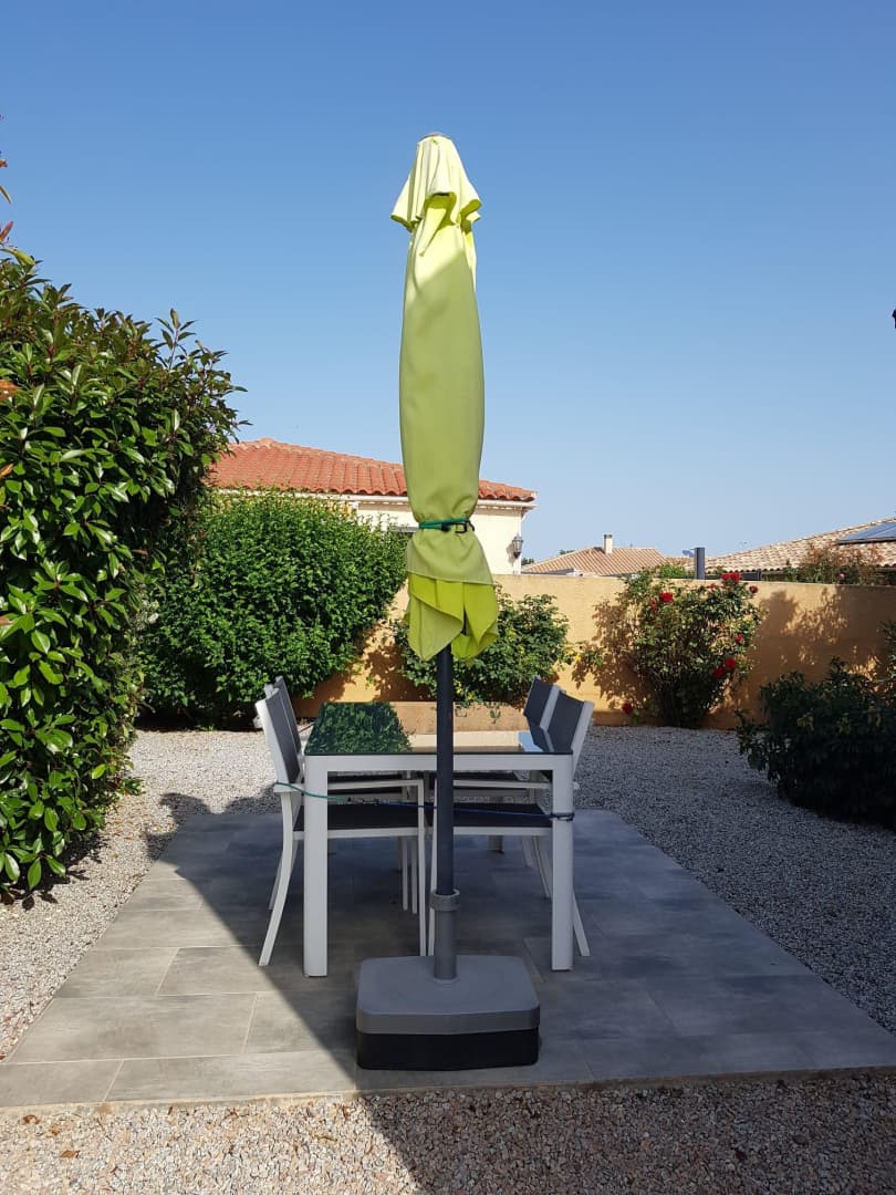 les Cycas_15