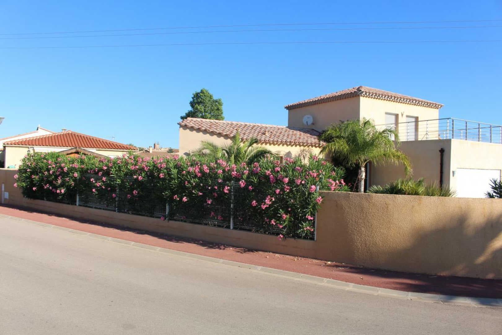 les Cycas_9