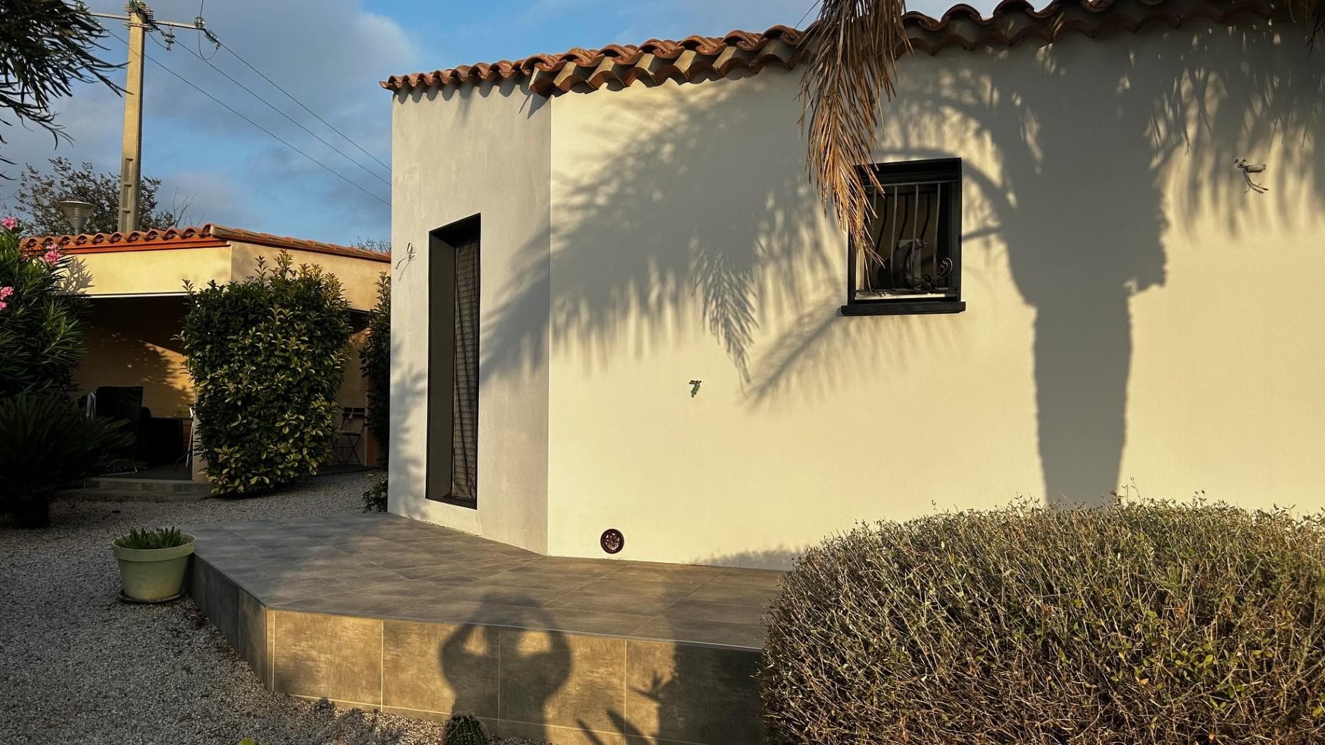 les Cycas_12