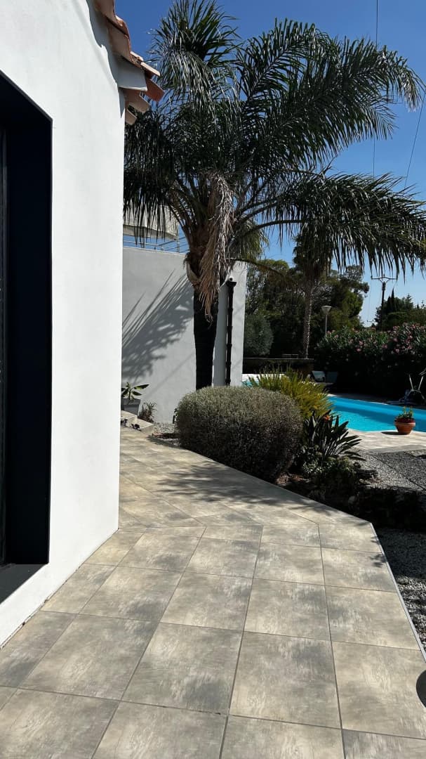 les Cycas_17
