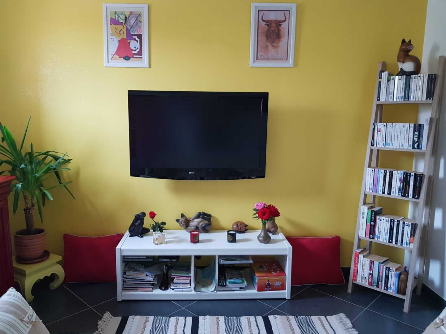 les Cycas_22